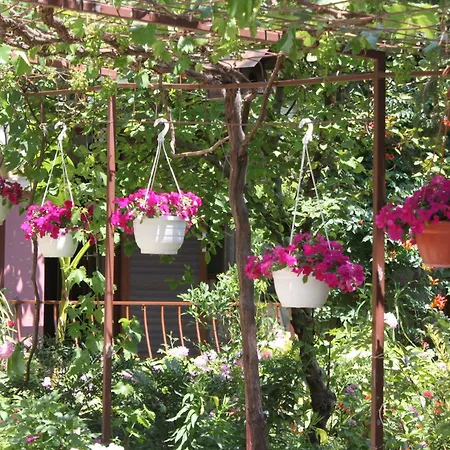 With Parking Space Starigrad, Paklenica - 6585 Lejlighed