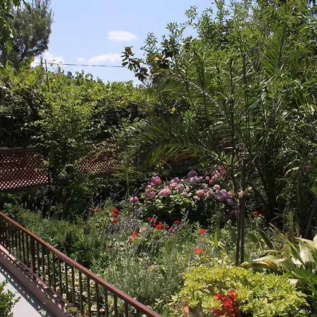 With Parking Space Starigrad, Paklenica - 6585 * Starigrad Paklenica