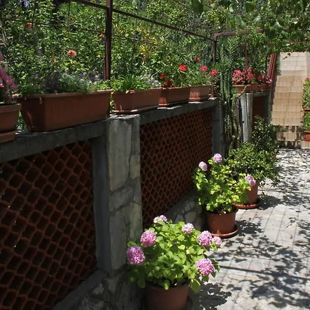 With Parking Space Starigrad, Paklenica - 6585 Lejlighed