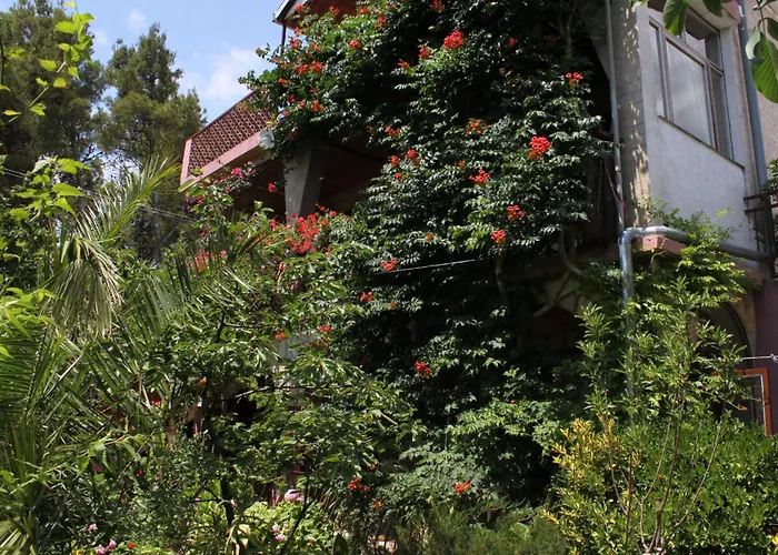 Lejlighed With Parking Space Starigrad, Paklenica - 6585 *