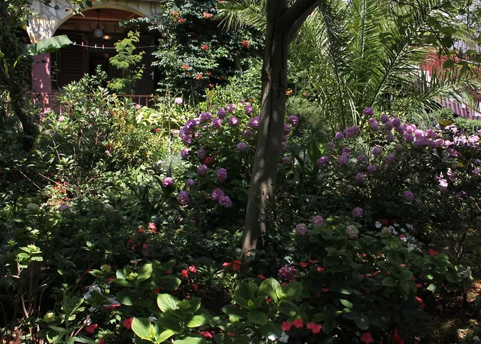 Lejlighed With Parking Space Starigrad, Paklenica - 6585 *