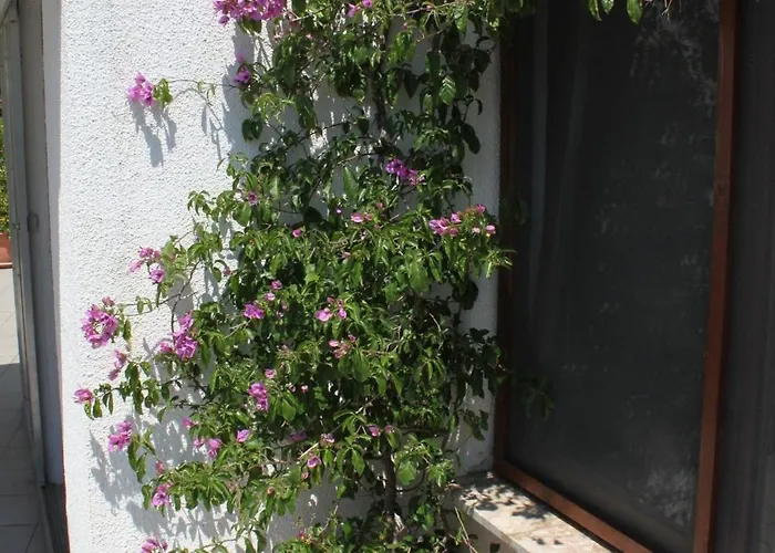 Appartement With Parking Space Starigrad, Paklenica - 6585 Starigrad Paklenica