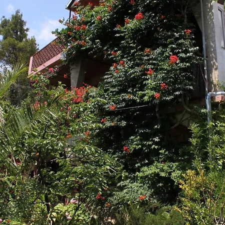 Apartamento With Parking Space Starigrad, Paklenica - 6585 *