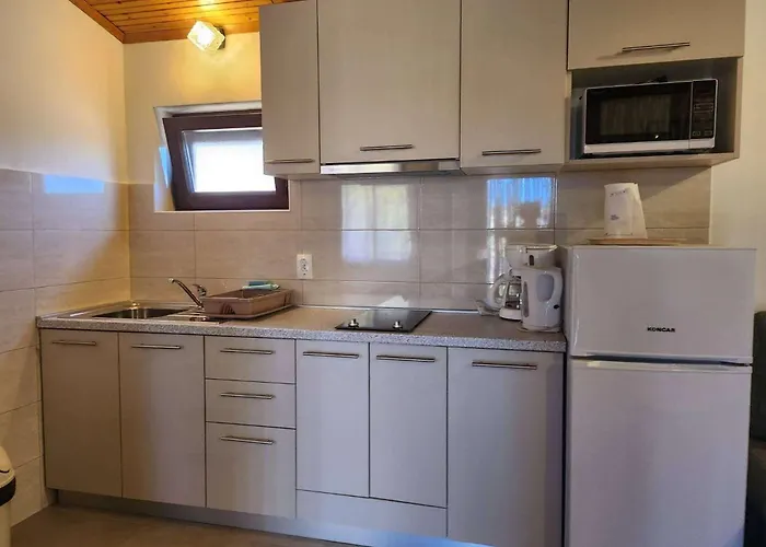 With Parking Space Starigrad, Paklenica - 6585 Apartamento *